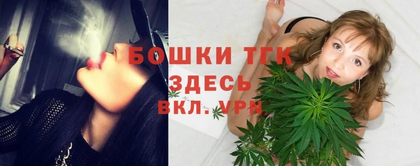 гидра Армянск